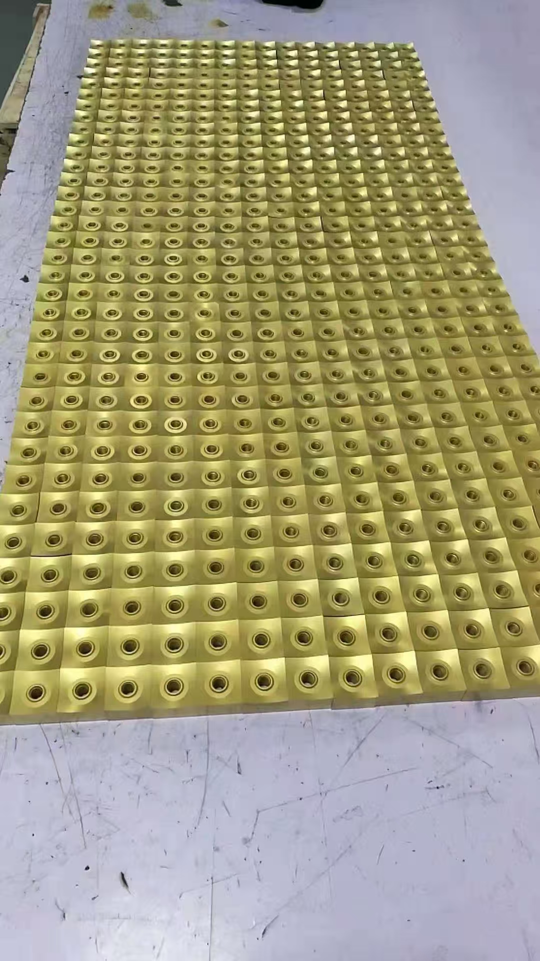 TIN (4).jpg